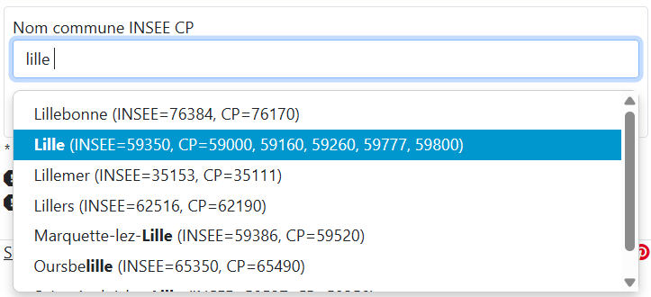 Exemple saisie Nom commune INSEE CP IRIS
