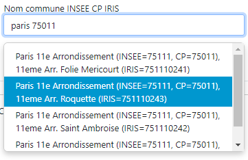 Exemple saisie Nom commune INSEE CP IRIS
